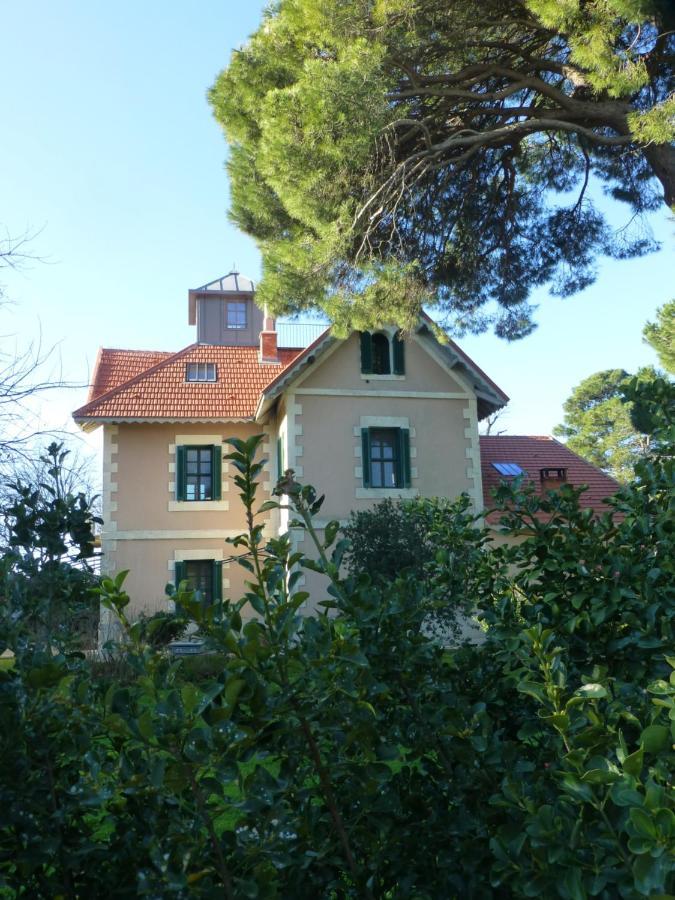 La Maison Du Mole Aigues-Mortes Eksteriør billede