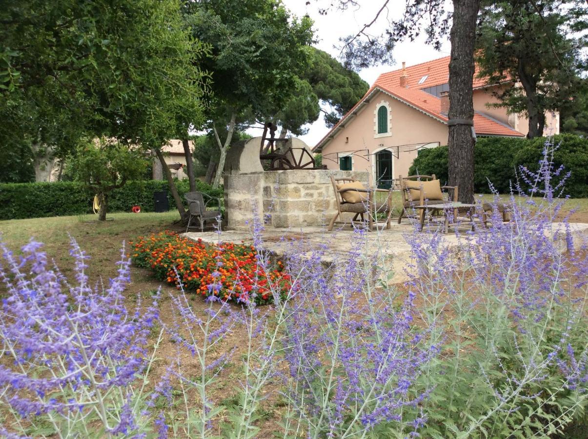 La Maison Du Mole Aigues-Mortes Eksteriør billede